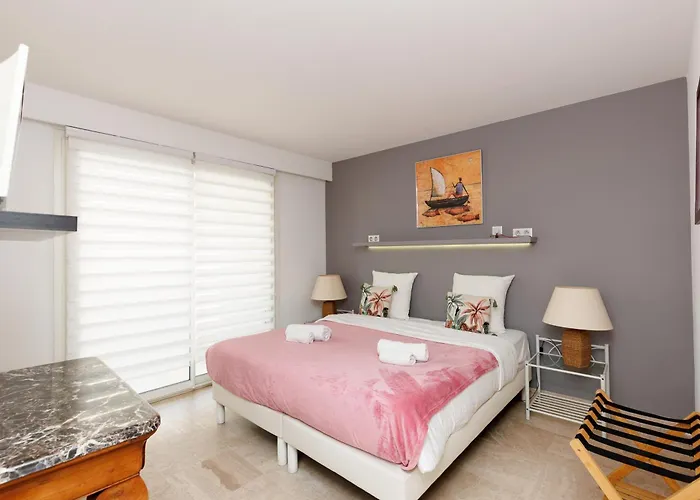 Du Sud 4 Yourhosthelper Daire Cannes